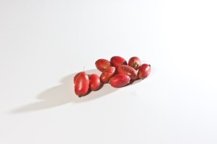 fructe Magic (lat (fructe magice) Magic Fructe (limba latină: