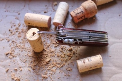 Magnet de frigider cu propriile mâini - 6 pas cu pas ateliere de modul de a face magneți pentru frigider (magnet) Magnet de frigider cu propriile mâini - 6 pas cu pas ateliere de modul de a face magneți de frigider