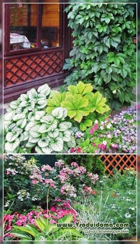 O mică porțiune (foto), care construi, cum de a decora și ce să plantelor, site-ul de grădină, cabana și camera (mic) O mică porțiune (foto), care construi, cum de a decora și ce să plantelor, site-ul de grădină, cabana și camera