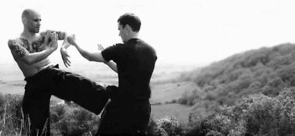 Chineză arte martiale maestru Ip Man biografie, fapte și realizări interesante (Master) Chineză arte martiale maestru Ip Man biografie, fapte interesante și realizări
