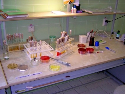 Facultatea de Medicină-profilactică, Nijni Novgorod Stat Academia Medicală (facultate) Facultatea de Medicină-profilactică, Nijni Novgorod Stat Academia Medicală