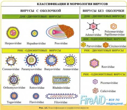 Mikloflora (microorganisme) aer (aer microfloră constant) Mikloflora (microorganisme) aer