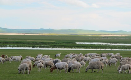 Mongolia - vacanta, meteo, recenzii, fotografii (restul) Mongolia - vacanta, meteo, recenzii, fotografii