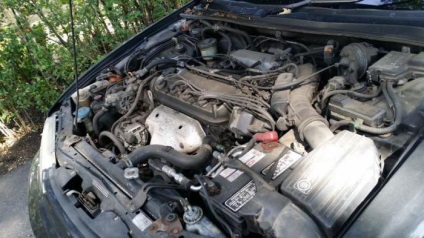 Uleiul de motor Prezentare generală Ravenol, caracteristici, tipuri și răspunsuri (motor) Uleiul de motor Ravenol revizuire, caracteristici, opinii și comentarii