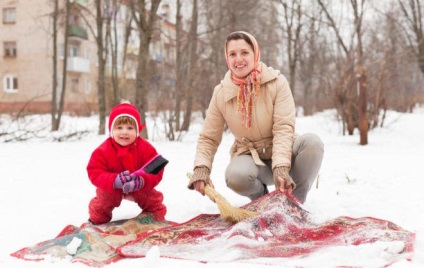 remedii populare împotriva puricilor (mijloace) remedii populare pentru purici