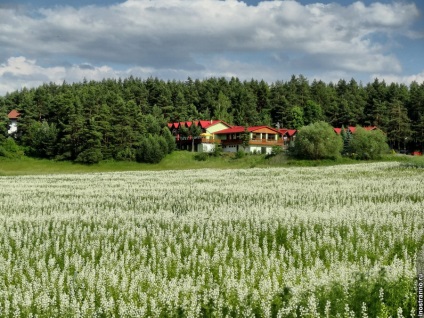 Parcul Național Parcul Național „paradisul slovac“