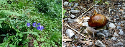 Parcul Național „paradisul slovac“ (Paradisul slovac) Parcul Național „paradisul slovac“