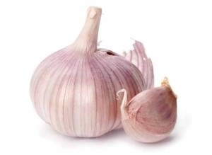 Momeală și momeli pentru crap - animale și ambalare de legume, se amesteca cele mai bune arome (duze) Momeală și momeli pentru crap - animale și ambalare de legume, se amesteca cele mai bune arome,