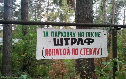 parcare ilegală pe peluzele din articol, pedeapsa, pedeapsa (peluze) parcare ilegală pe peluzele din articol, pedeapsa, pedeapsa