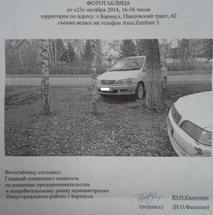 parcare ilegală pe peluzele din articol, pedeapsa, pedeapsa (parcare) parcare ilegală pe peluzele din articol, pedeapsa, pedeapsa
