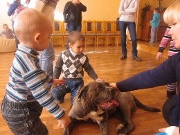 Asociația „manipulare câine“ ( „Alice“ stivuitoare de câini Club) Asociația „Stivuitoare de câine“