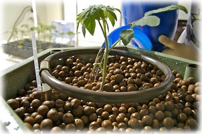 Echipament pentru creștere de legume în hidroponice (în creștere legume hidroponice) Echipament pentru creștere de legume hidroponice