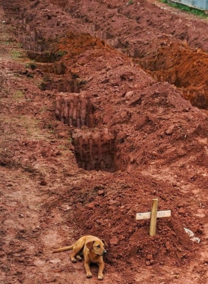 imagini foarte puternice () fotografii severe