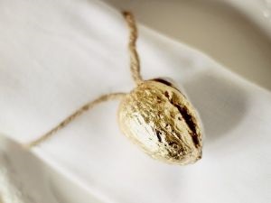 Nuci cu predicțiile propriile lor mâini (mâini) Nuci cu predicțiile propriilor lor mâini