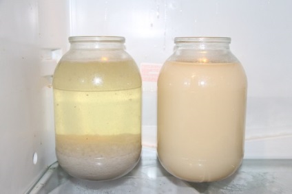 bentonită mash Limpezirea, ceai hibiscus și gelatină (gelatină) Clarificarea bentonită mash, ceai hibiscus și gelatină