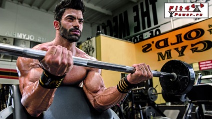 Izolație termică când și ce mușchii să facă, orientări metodologice pentru formarea musculare rămase în urmă (lagging) Izolație termică mușchi atunci când și ce să facă, orientări metodologice pentru formarea rămase musculare