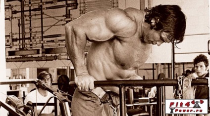 Izolație termică mușchi atunci când și ce să facă, orientări metodologice pentru formarea musculare rămase în urmă (do) Izolație termică mușchi atunci când și ce să facă, orientări metodologice pentru formarea rămase musculare