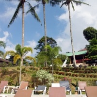 Paradise Park și samui agricole (paradis) Parcul Paradise și samui agricole