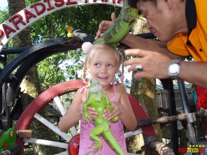 Paradise Park și samui agricole (parc) Parcul Paradise și samui agricole