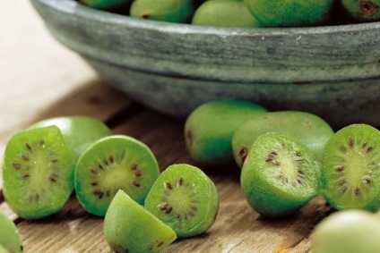 Kiwi de fructe - un fruct sau fructe de pădure și ce proprietăți, martcom - Sucuri concentrate (proprietăți) Kiwi de fructe - un fruct sau fructe de pădure și ce proprietăți, martcom - suc concentrat,