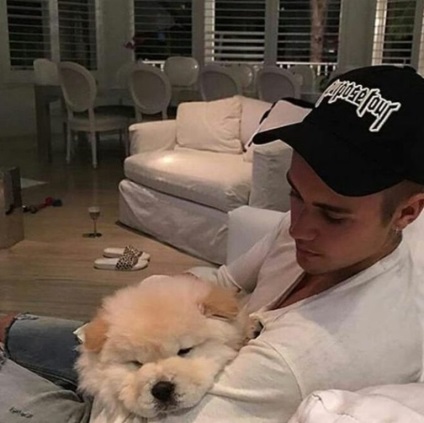 Bad Boy () bad boy