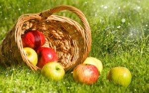 De ce nu pot mânca mere la Apple a salvat o femeie (nu poate) De ce nu pot mânca mere la Apple Îngrijire femei