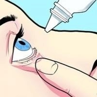 Fertilizarea afine în primăvara și pe tot parcursul sezonului video (dressing sus) Fertilizarea afine în primăvara și pe parcursul întregului videoclip al sezonului