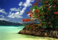 Vremea în Seychelles de lună - toate de vreme sezoniere în Seychelles (luni) Vremea în Seychelles de lună - toate de vreme sezoniere în Seychelles