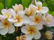 Vremea în Seychelles de lună - toate de vreme sezoniere în Seychelles (meteo de luni) Vremea în Seychelles de lună - toate de vreme sezoniere în Seychelles