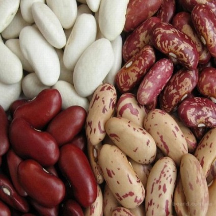 Util dacă fasolea la un diabet zaharat (diabetici) tipurile 1 și 2, care este mai bine alb, negru, rosu, (diabet) Util dacă fasolea la un diabet zaharat (diabetici) tipurile 1 și 2, care este mai bine alb, negru, rosu,
