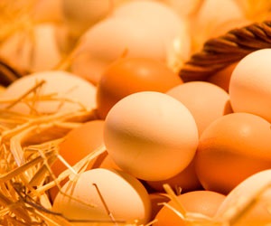 pancreatită alimentară utilă (pancreatită) alimente utile pentru pancreatită