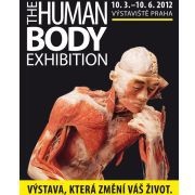 Praga! Totul despre Praga! Praga va găzdui expoziția a expoziției corpului uman - expoziție - Praga astăzi (umană) Praga! Totul despre Praga! Praga va găzdui expoziția a expoziției corpului uman - expoziție - Praga astăzi
