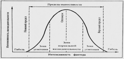 De obicei optim (în general) în mod tipic optim