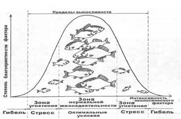 De obicei optimă (Legea privind drepturile optime) în mod tipic optim