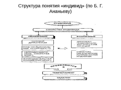 Prezentarea pe persoana ca individ (prezentare on-line) Prezentarea persoanei ca persoană
