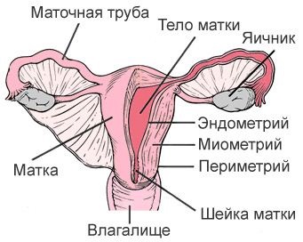 Cauza cancerului de col uterin (de col uterin) Cauzele cancerului de col uterin