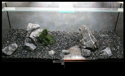 acvariu natural cu propriile lor mâini (Aquarium) acvariu natural cu propriile lor mâini