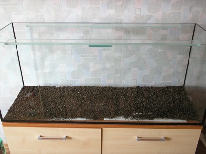 acvariu natural cu propriile lor mâini (Aquarium) acvariu natural cu propriile lor mâini