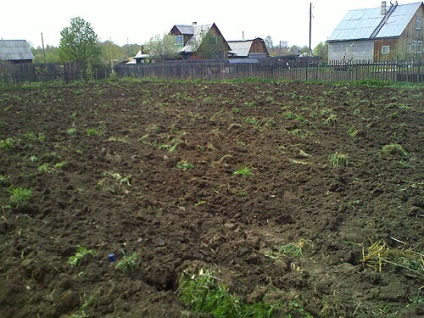 Primăvara a venit, sau cum să nu plug - un blog despre cultivarea culturii în țară (a venit) Primăvara a venit, sau cum să nu plug - un blog despre cultivarea culturii în țară
