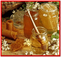 produse apicole (lăptișor de tratament) produse apicole