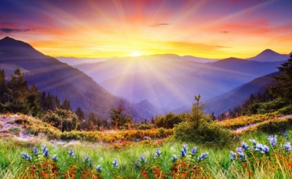 Zori fotografie (natura în dimineața) fotografie zori