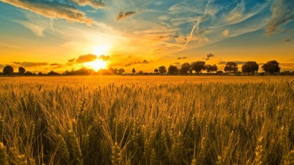 Zori fotografie (natura în dimineața) fotografie zori