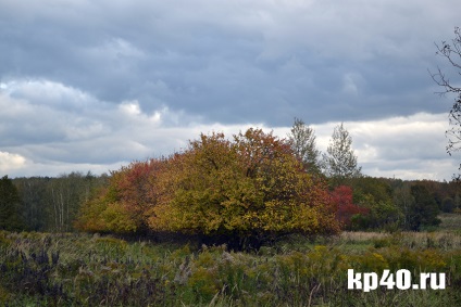 zone Kaluga bushmanovka - viața liniștită pe fondul spitalului de psihiatrie - Social - Noutăți - Kaluga (Kaluga) zone Kaluga bushmanovka - viața liniștită pe fondul spitalului de psihiatrie - Social - stiri - Kaluga