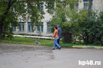 zone Kaluga bushmanovka - viața liniștită pe fondul spitalului de psihiatrie - Societatea - stiri - Kaluga (bushmanovka) zone Kaluga bushmanovka - viața liniștită pe fondul spitalului de psihiatrie - Social - stiri - Kaluga