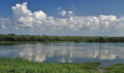 Râul Ob, descrierea detaliată și caracteristici OBI (descriere) Râul Ob, descrierea detaliată și caracteristici OBI