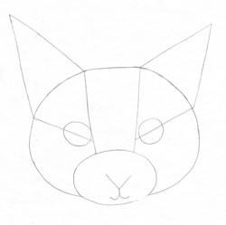 Desenați un simplu pisică și lecții complexe (individuale) Desenați un simplu pisică și lecții complexe