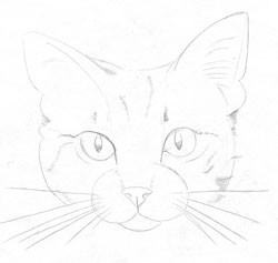 Desenați un simplu pisică și lecții complexe (plata) Desenați un simplu pisică și lecții complexe