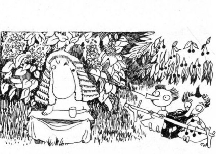 Figurile Tove Jansson (Moomin) Desene Tuve Yansson