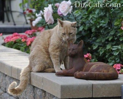 grădină Sculptura are un decor grădină de vară (grădină) decor grădină Sculptura are o grădină de vară