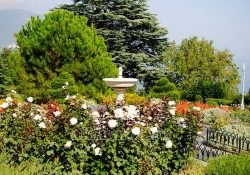 Sculpturi Gradina de 50 de fotografii de sculpturi frumoase pentru gradina (sculpturi) Sculpturi Gradina de 50 de fotografii de sculpturi frumoase pentru gradina